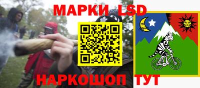 индика Камышлов