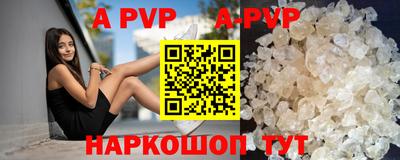 индика Камышлов