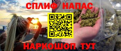 индика Камышлов