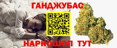 индика Камышлов