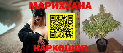 каннабис Кандалакша