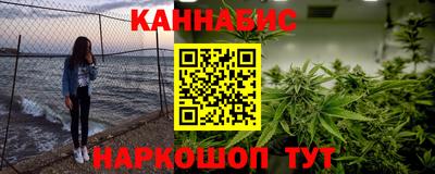 индика Камышлов