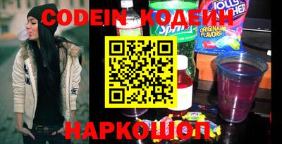 индика Камышлов