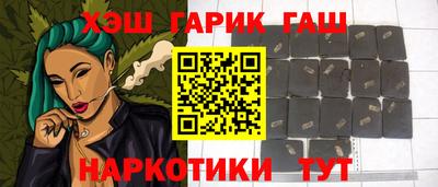 индика Камышлов
